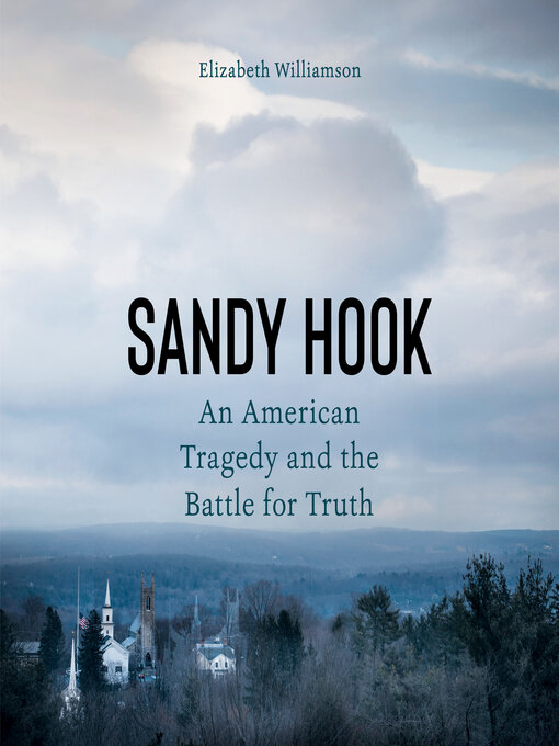 Title details for Sandy Hook by Elizabeth Williamson - Wait list